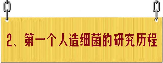 人造生命：超越自然，还是带来毁灭？