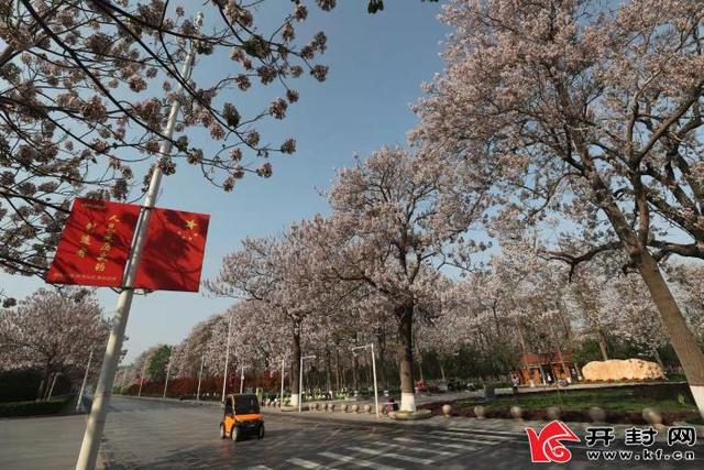 昔日风沙盐碱地 今成生态示范县