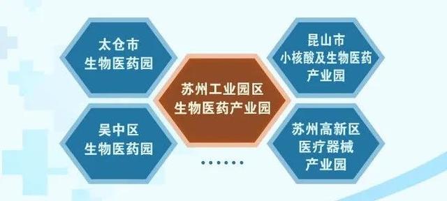 他山之石 | 厉害了！15年从0带动3000亿产值：苏州的世界级生物医药高地BioBAY