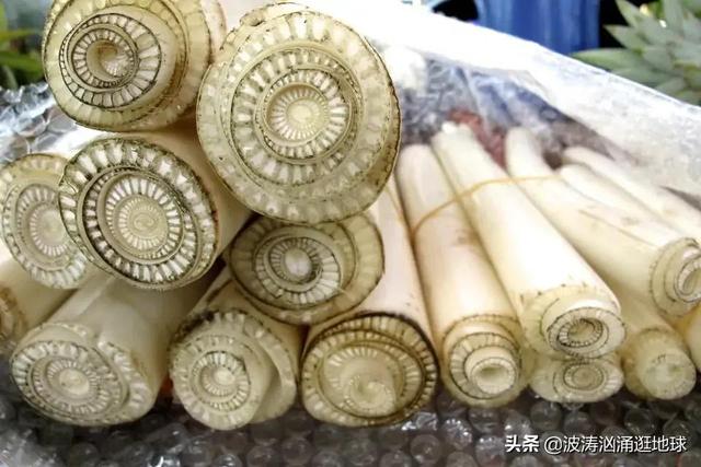 45张照片看世界：美国女强奸犯、荷兰女老师兼职拍电影