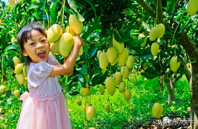摊牌了！今年夏天除了它什么也不想吃