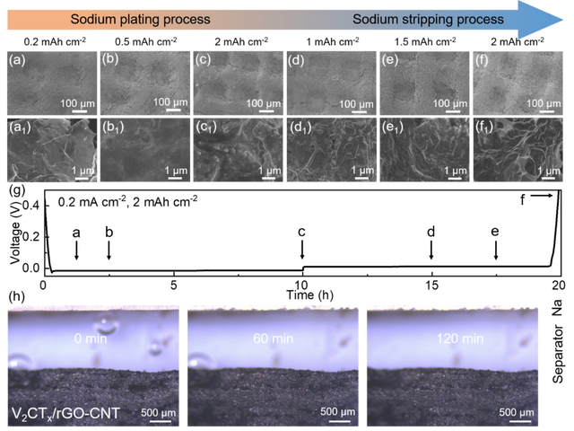 ACS Nano：3D打印V₂CTₓ/rGO-CNT MXene高容量钠金属负极