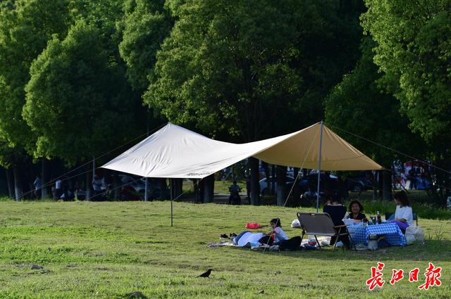 从境外旅游转型城市露营“借风破局”大热荒野成立一年连续获两轮千万元融资
