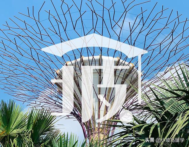 新加坡留学 · 新生入境全攻略，疫苗互认下的入境流程全汇总