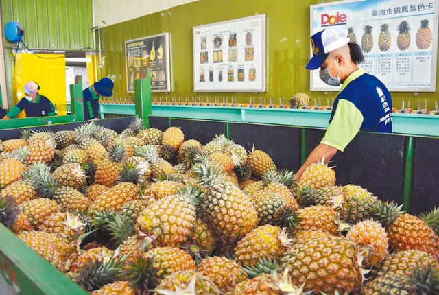 台湾水果在日销量惨淡，果农喊话蔡英文重启谈判，希望大陆能接盘