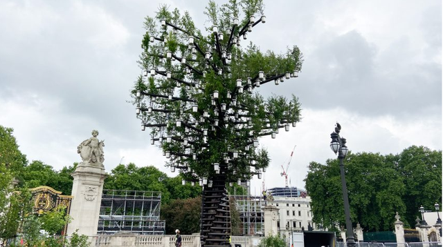 英女王70周年，Heatherwick又做了一棵树？网友：能有点新意吗？