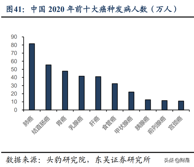 诺禾致源研究报告：全球科研测序龙头企业，疫情后有望重回高增长