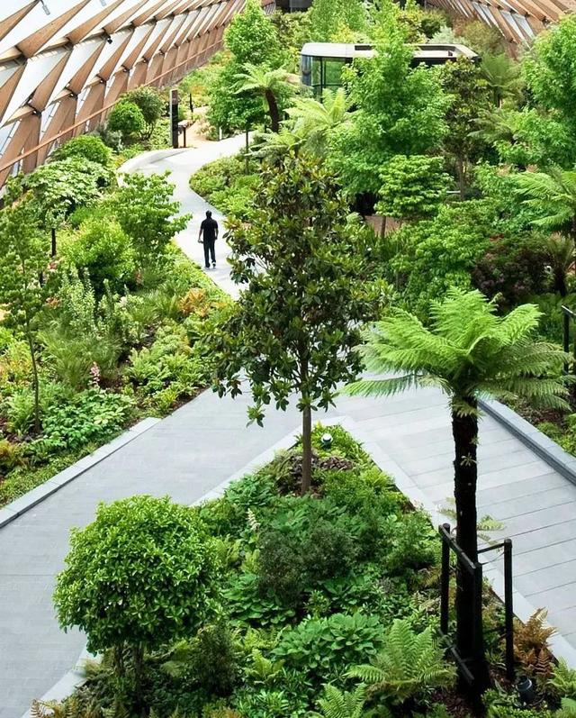 室内空间景观设计案例