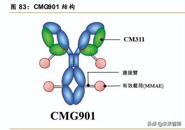 医药行业深度报告：创新驱动，ADC药物发展加速