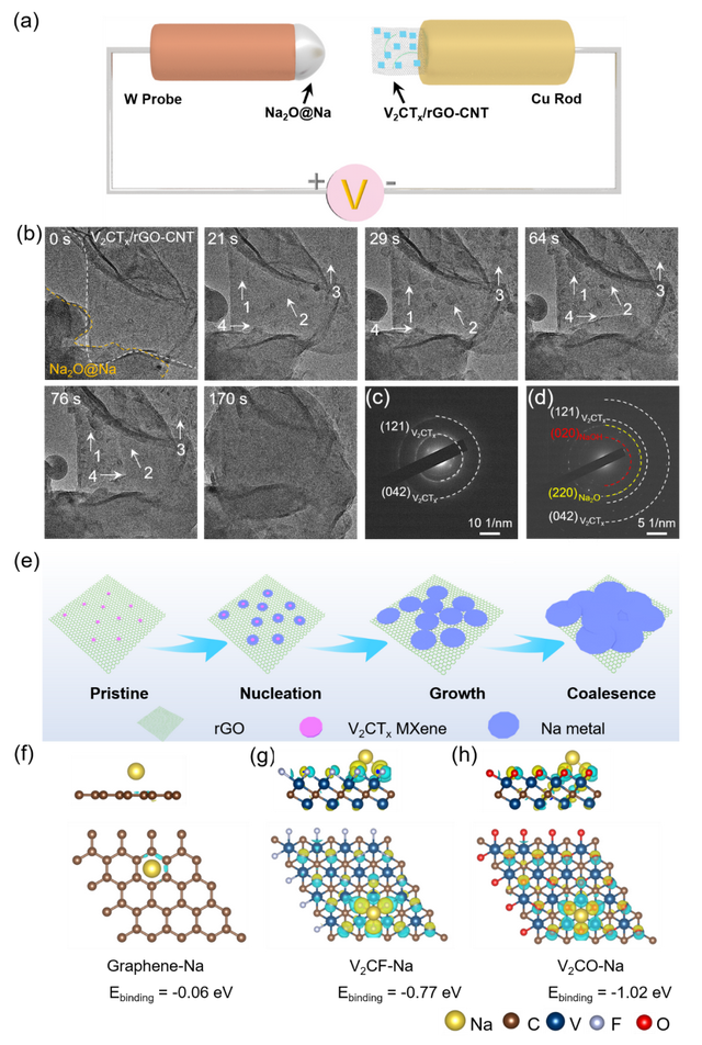 ACS Nano：3D打印V₂CTₓ/rGO-CNT MXene高容量钠金属负极