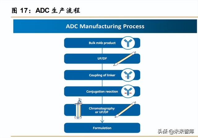 医药行业深度报告：创新驱动，ADC药物发展加速