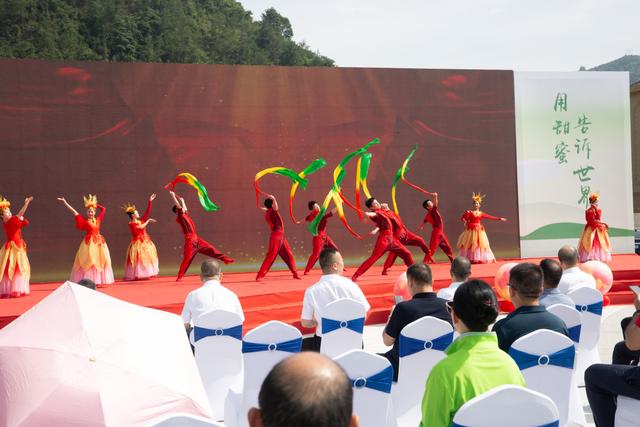 欢乐时光，梅好结束｜青田杨梅节圆满结束