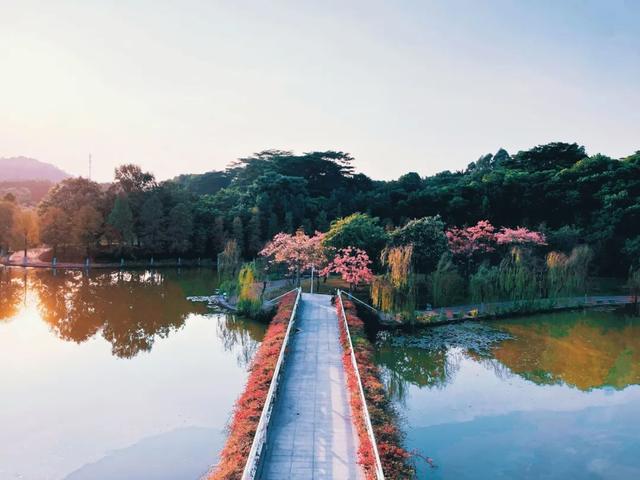 蓄势待发，圆梦广工：建筑与城市规划学院等你赴约！