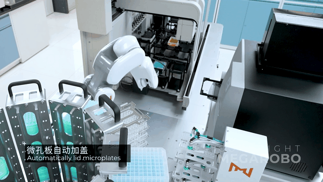 深耕生命科学智能自动化，镁伽完成3亿美元C轮融资