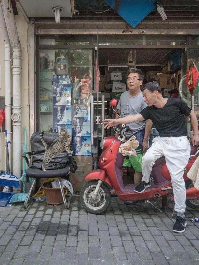 老店消失了，连同那些看店铺的猫