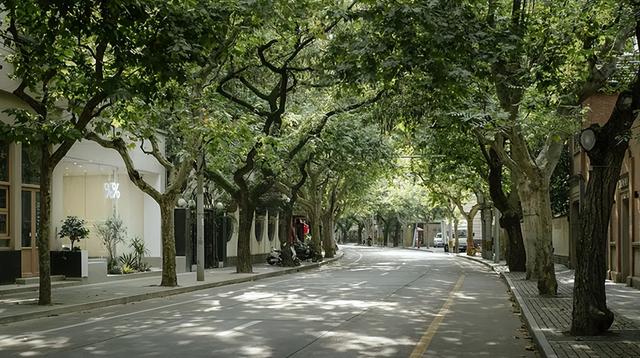 这个最豪横的街道，也是上海居住地段的顶点