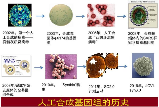 人造生命：超越自然，还是带来毁灭？