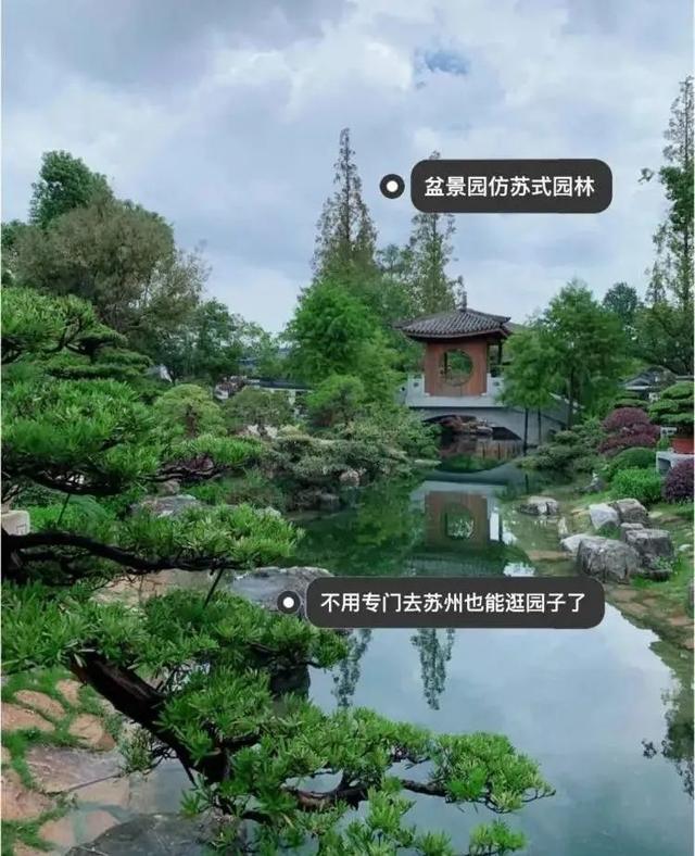 为什么说植物园和城市公园不一样？上海植物园专家这样说