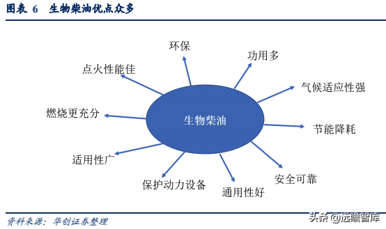 生物柴油——双碳背景下的高景气细分赛道