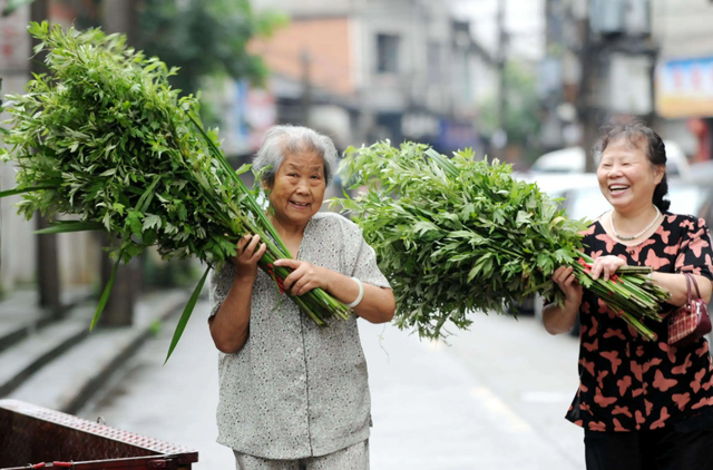 端午节其实是龙的节日！龙是否真存在，为何十二生肖之中也有龙？