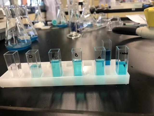 揭秘新加坡最神秘的中学，不用参加升学考就能进哈佛、剑桥