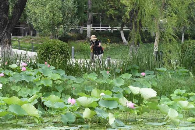 亮马河旅游通航延伸 今年年底建成6公里旅游航线