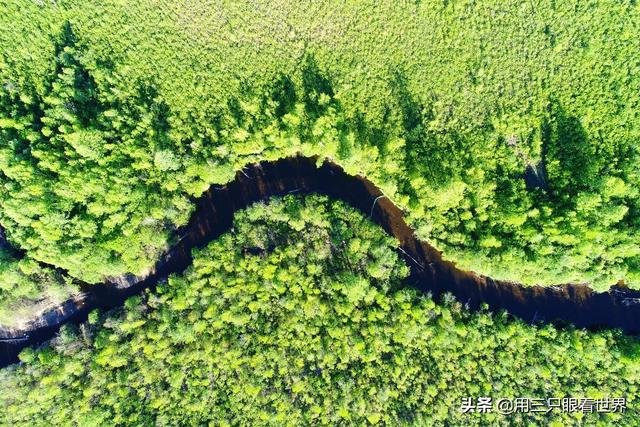 「知青往事」我在大兴安岭的教书生涯
