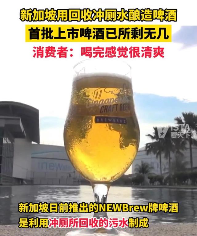 新加坡用回收冲厕水酿啤酒，首批上市啤酒已所剩无几