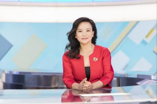 间谍成蕾卧底央视20年，一句口误暴露身份，忘恩负义终于被捕