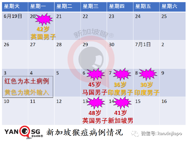 新加坡抗疫领导小组组长、贸工部长确诊；连续两天出现猴痘本土病例