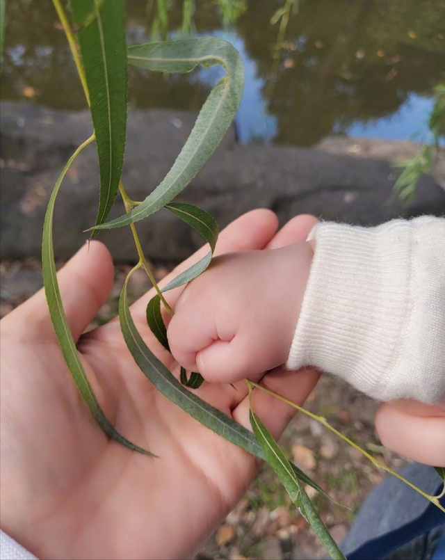 谢娜新书自曝孕期患妊娠糖尿病，生产时焦虑呕吐