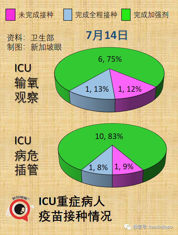 新加坡抗疫领导小组组长、贸工部长确诊；连续两天出现猴痘本土病例