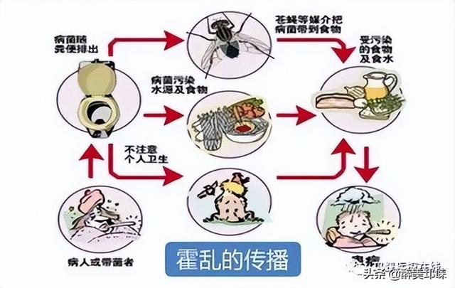 邛崃疾控提示：霍乱是一种肠道传染病，可有效预防和治疗