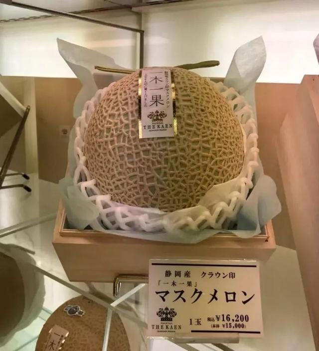 一个中国村支书考察日本乡村后的感悟，深刻