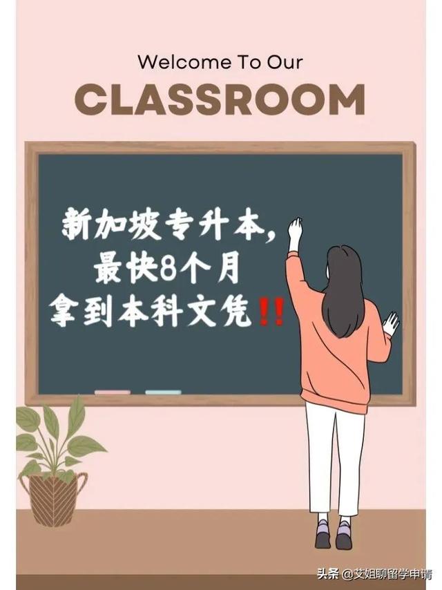 8个月新加坡专升本