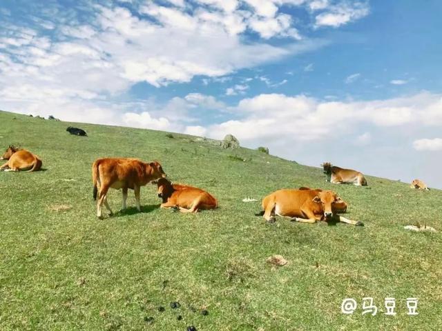 精品线路 | 福清市：侨乡古韵 草原小镇