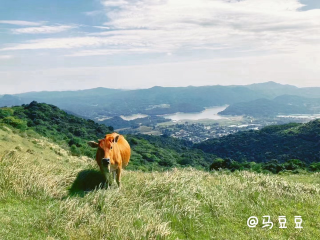 精品线路 | 福清市：侨乡古韵 草原小镇