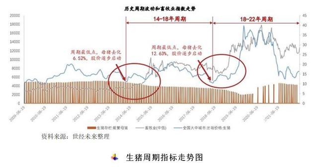 「世经研究」生猪养殖行业分析与银行介入策略建议