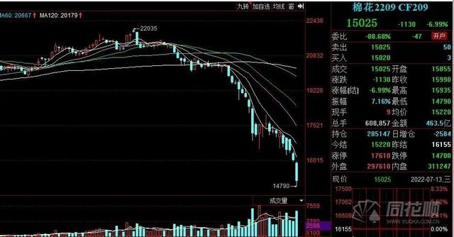 储备棉轮入今日开启 利好不及预期 郑棉主力合约盘中跌破15000元