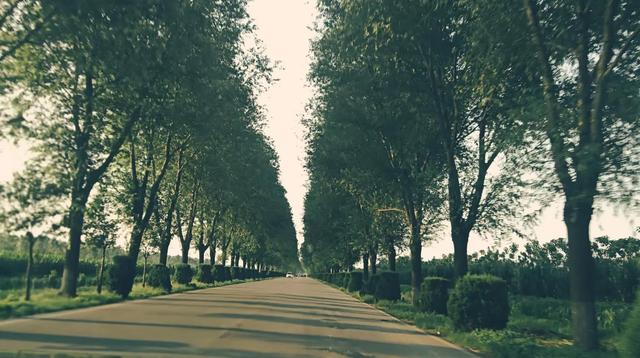 接受孩子的平凡是我们的必修课