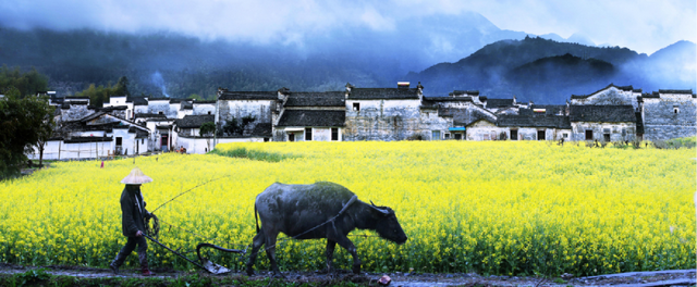 安徽人游安徽 | 【打造全国最美风景线】嘿·多好哇！一生不能不来的地方