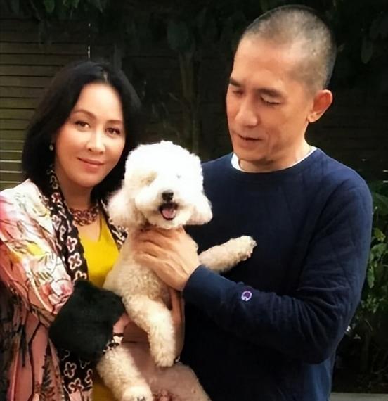养狗为伴、冻卵子、住养老院，那些选择丁克的明星们后悔了吗？