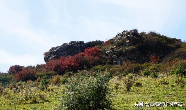 马玉琢：高台明镜映幸福 台子蝶变满目新