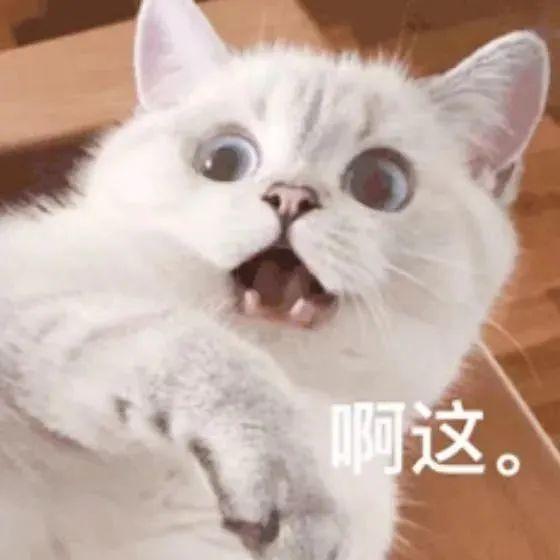 冲厕水回收后酿成啤酒！首批上市后所剩无几