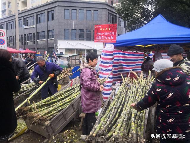 为寻2岁幼子白手起家，32年后在农村寻回，母亲：不该去卖甘蔗