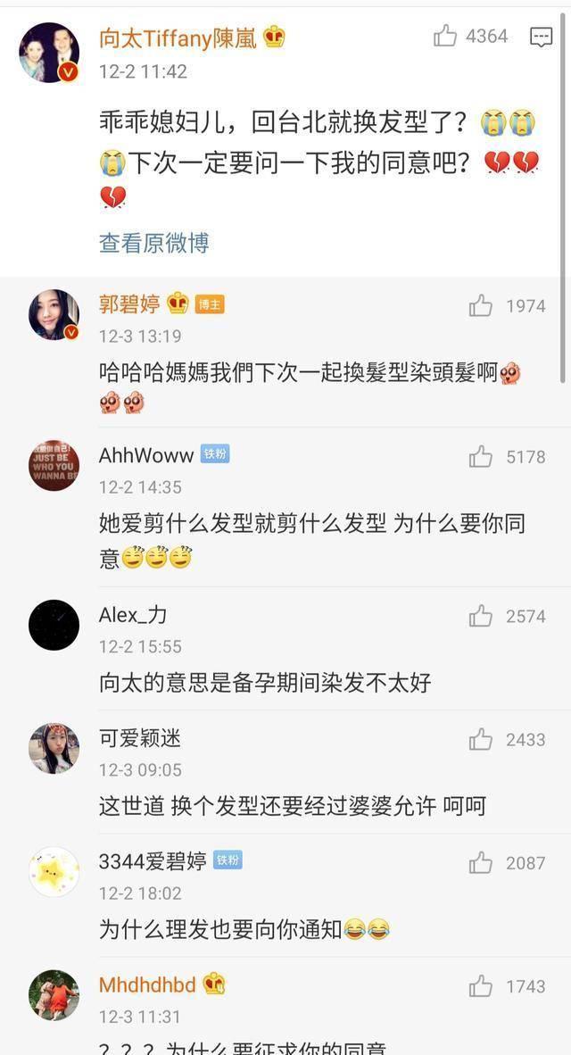 向佐“不讲武德”，向太护犊子，郭碧婷的这场“赌豪”本就是败局