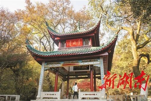 十年，长沙实现哪三大飞跃？