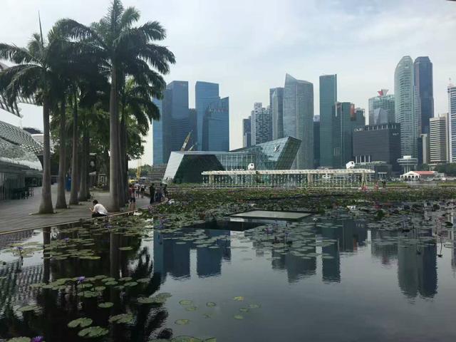 新加坡各学校雅思要求