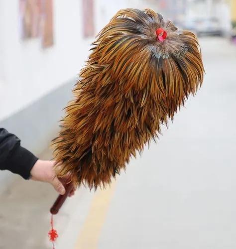 新加坡变废为宝黑科技2.0版本！用鸡毛做成坚硬无比的塑料托盘