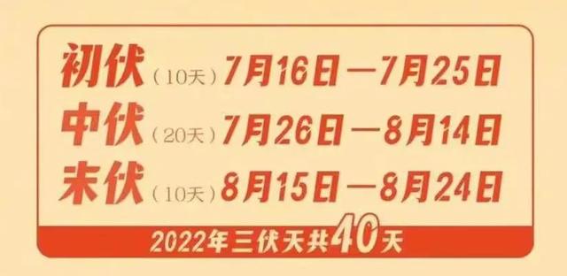 7月16日·上海要闻及抗击肺炎快报